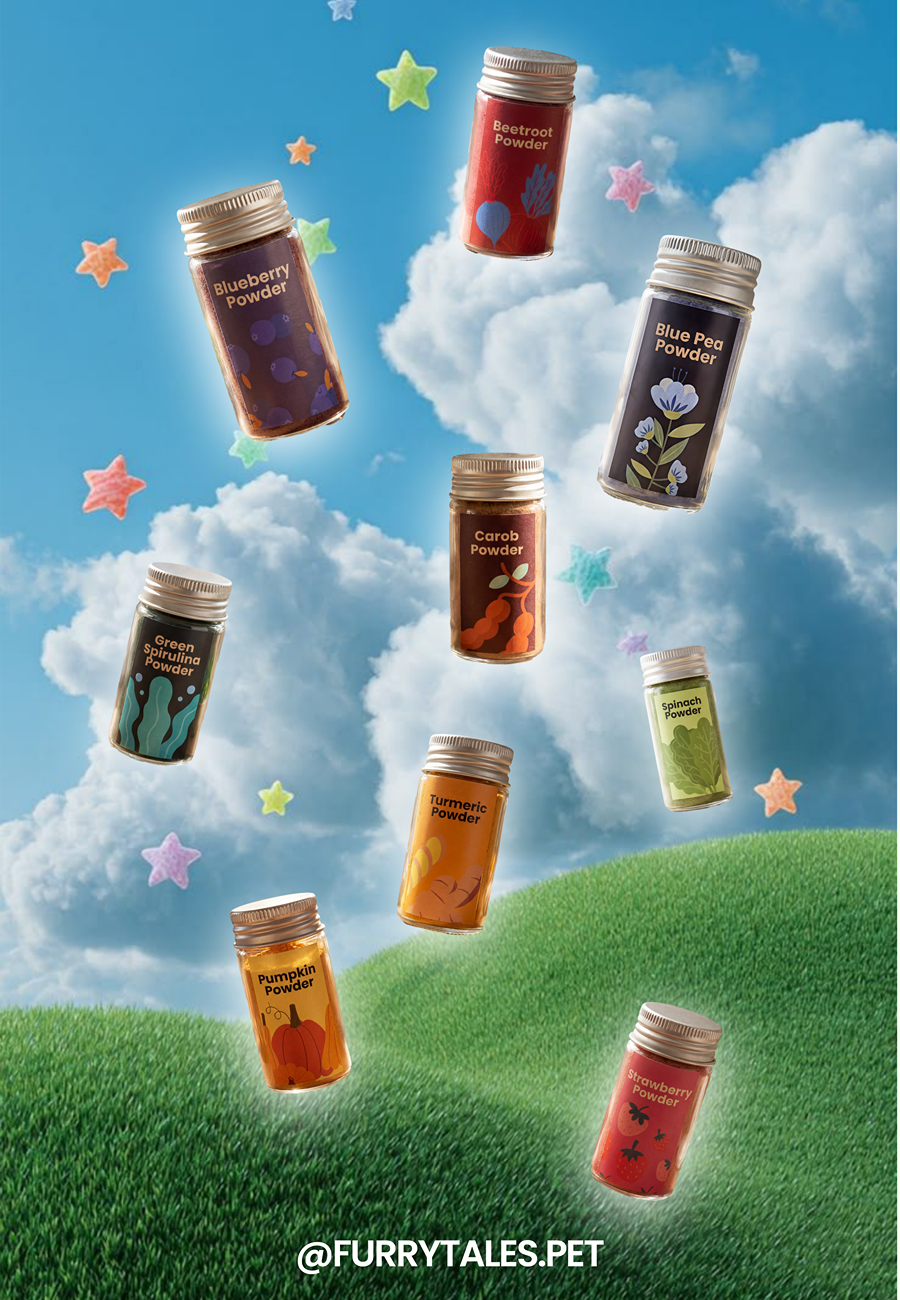 Colouring Kit - Natural Powders