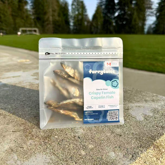 Crispy Female Capelin Fish