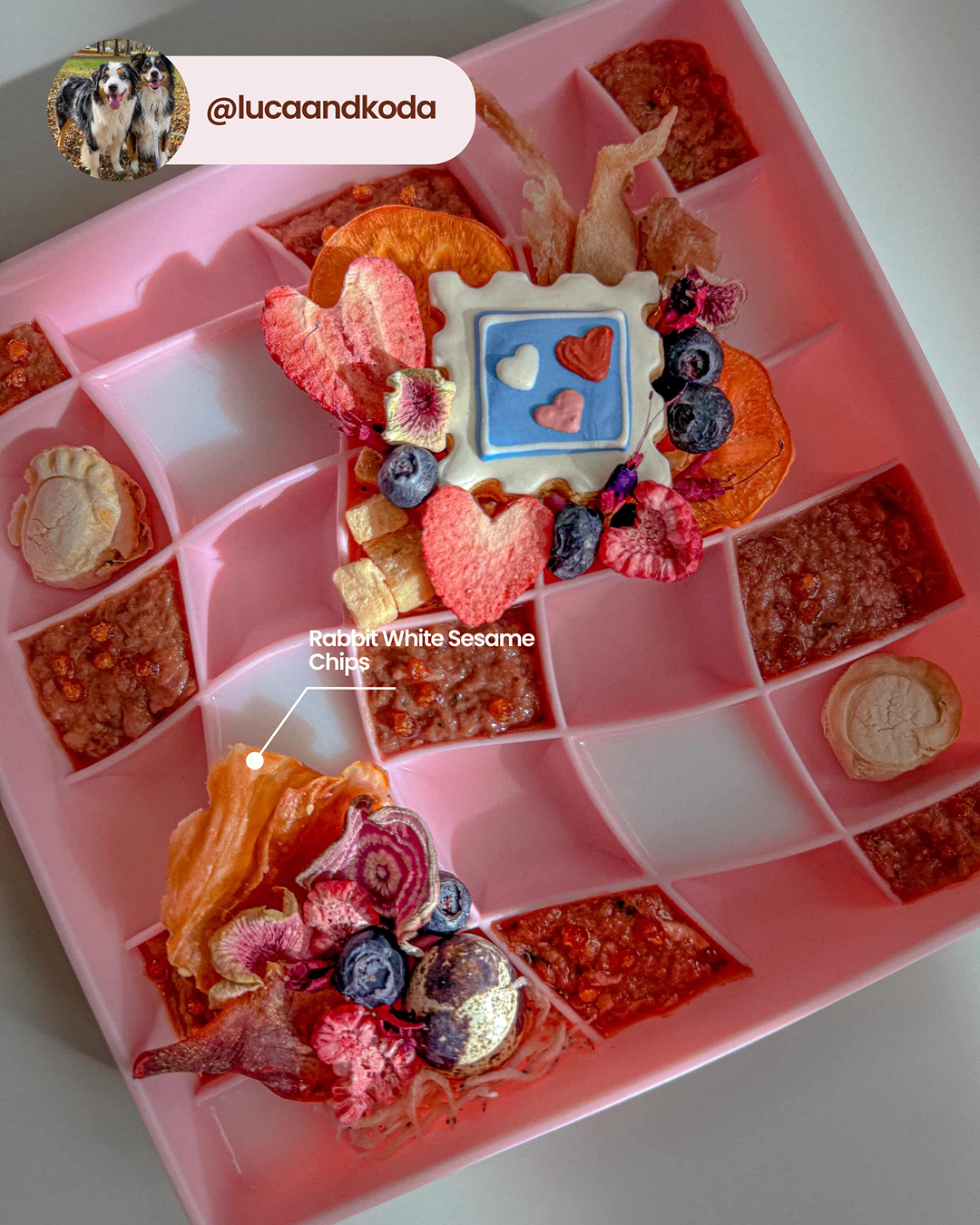 Chips de sésame blanc Rabbit