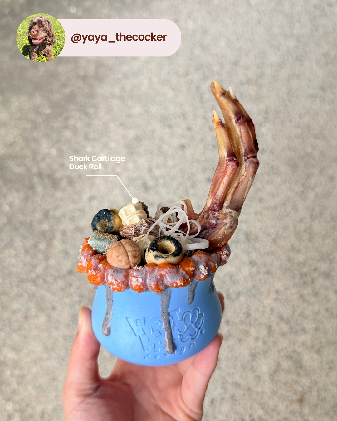 Rouleau de canard au cartilage de requin