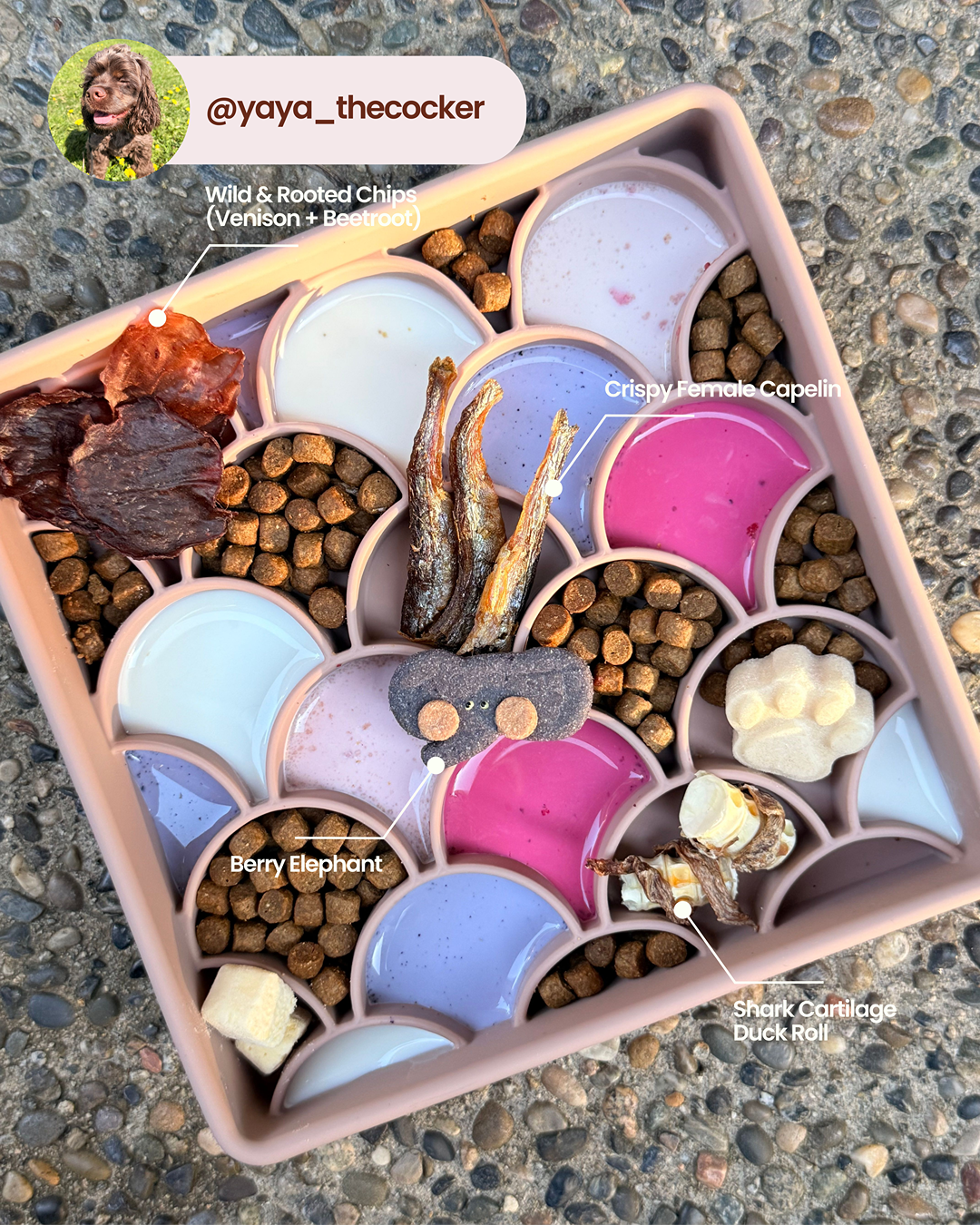 Chips sauvages et enracinées