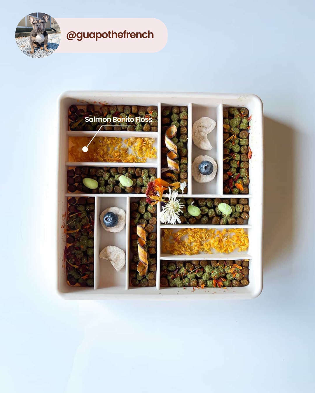 Flocons de saumon et de bonite