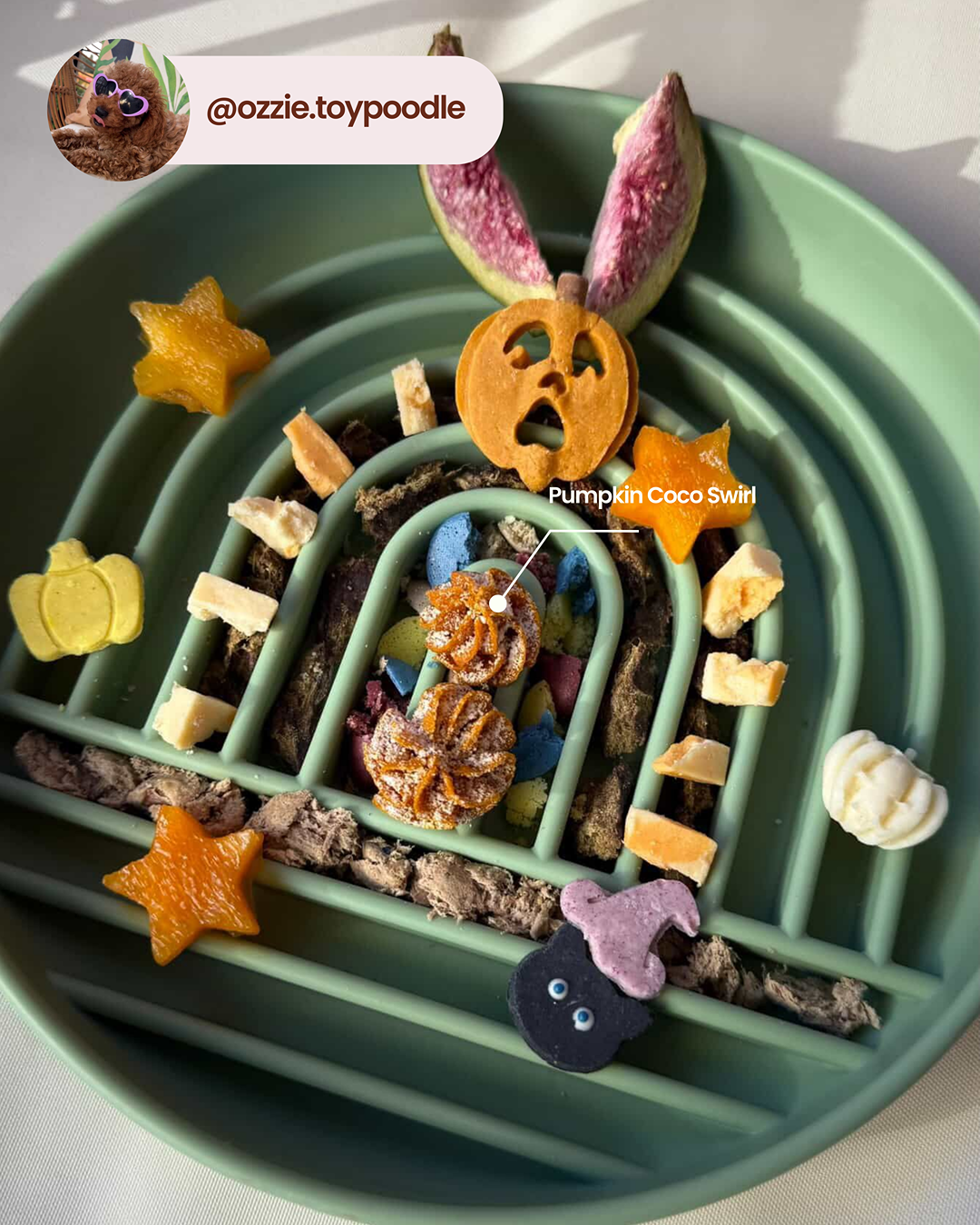 Tourbillon de citrouille et de noix de coco