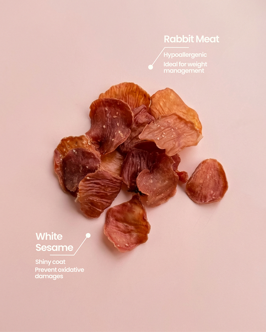 Chips de sésame blanc Rabbit