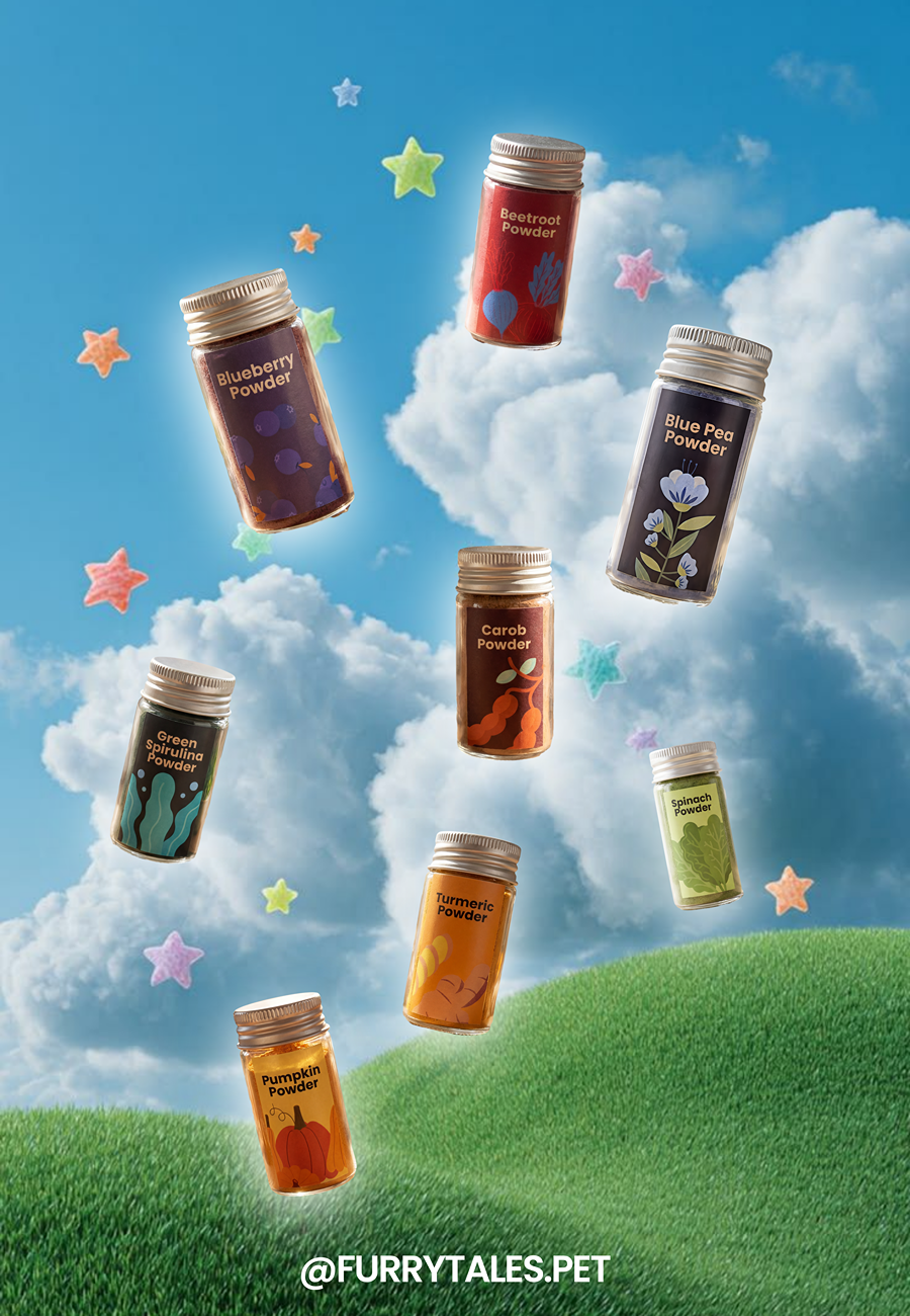 Colouring Kit - Natural Powders