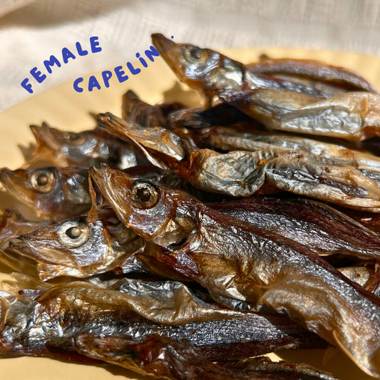 Crispy Female Capelin Fish
