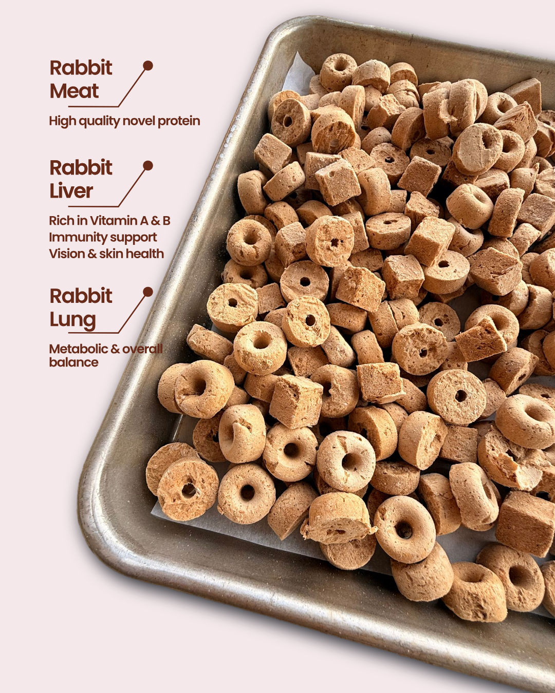 Mélange trio de lapins FD