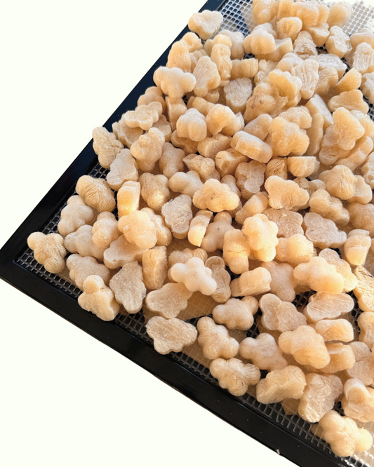 Bouillon d'os de lapin FD