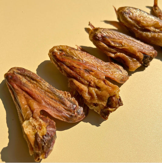 Quack Crunch Wing