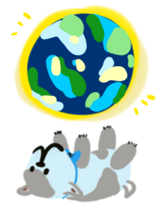 background shape
