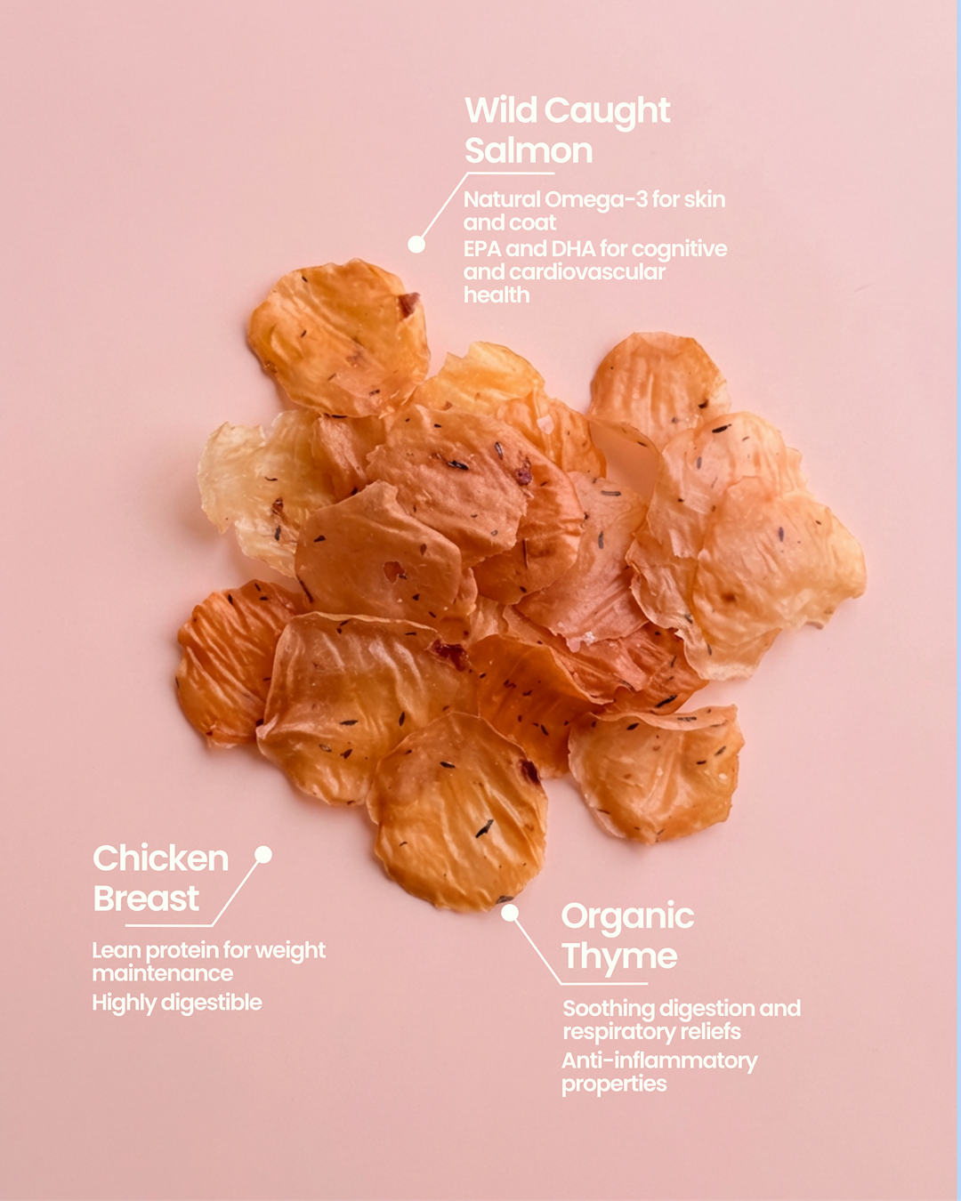 Poulet Saumon Thym Frites