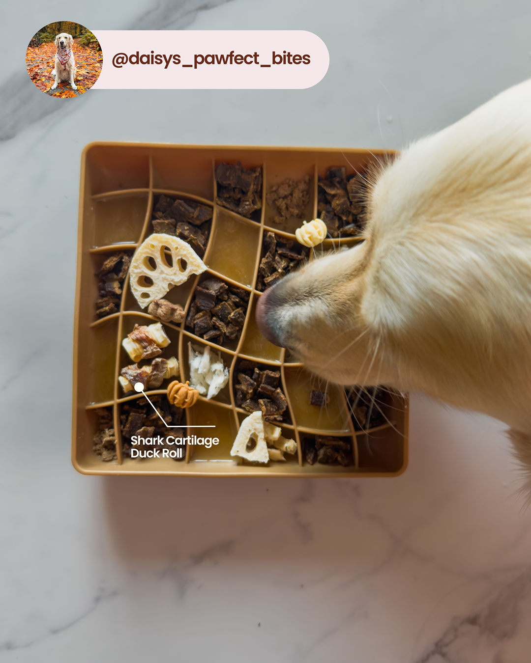 Rouleau de canard au cartilage de requin