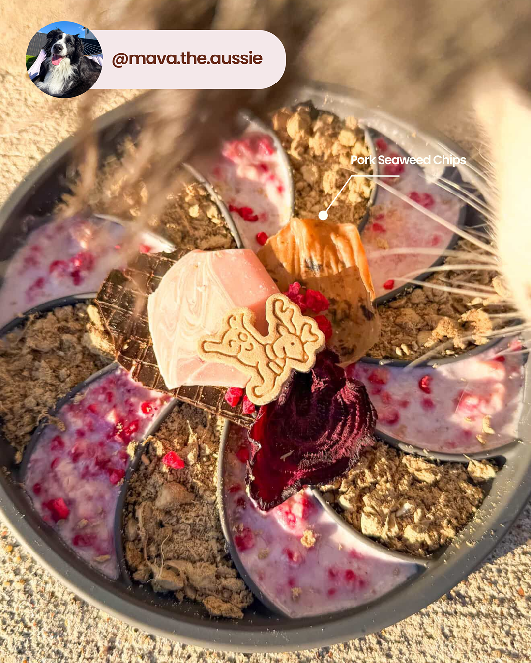 Chips de porc aux algues