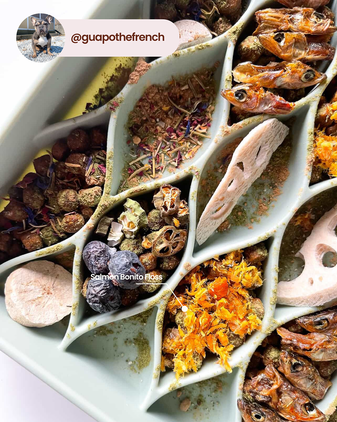 Flocons de saumon et de bonite