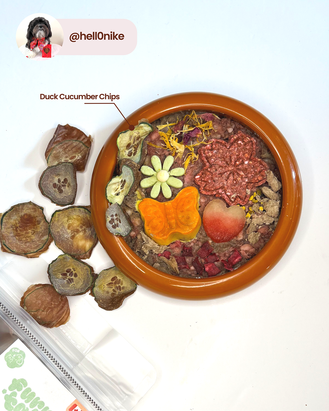 Chips de concombre au canard