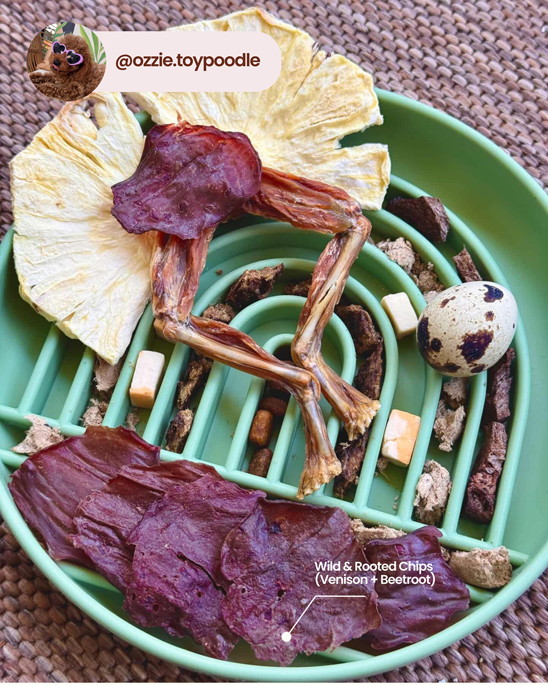 Chips sauvages et enracinées