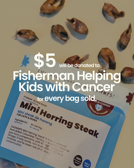 FD Mini Herring Steak